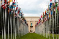 Developing Countries As A Blessing